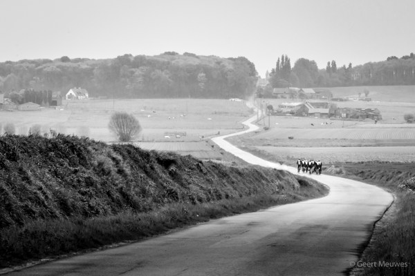 a herd of cyclists