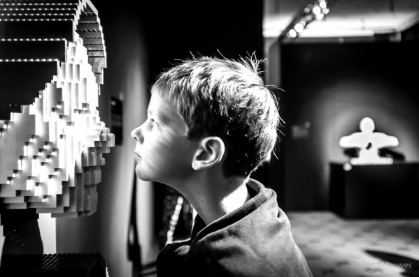 The Art Of The Brick