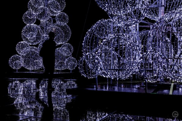 Christmas @ Roeselare