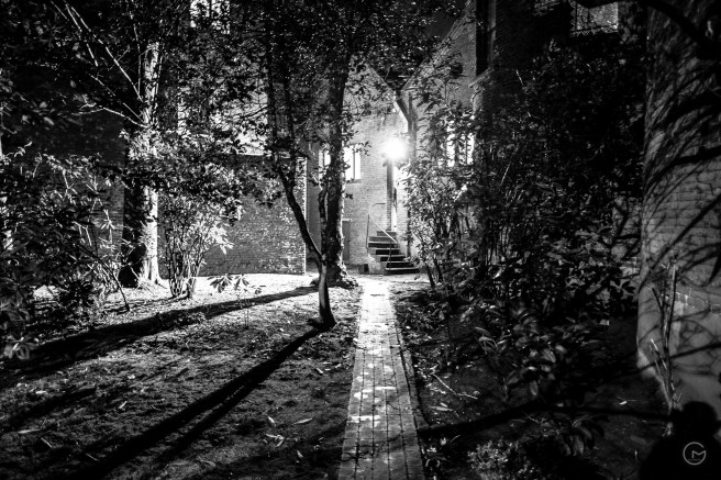 Light in the darkness